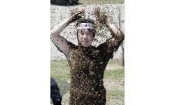 beeeeees
