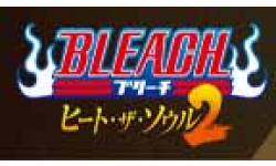 bleach2