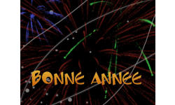 bonne année