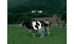 cowupdatesmall9wg