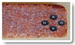 Debrik
