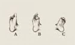 Feet Language 144x