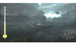 fish2 qjpreviewth