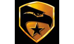 GI Joe Falcon Logo