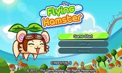 hamster 002