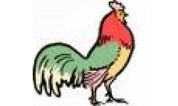 hen