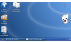 ICON0