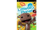 little_big_planet