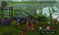 monster hunter freedom4