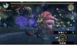 Monster Hunter Portable 3rd 002