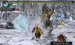 Monster Hunter Portable 3rd 026