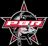 pbr-game-wii-xbox360-pc-psp_qjgenth