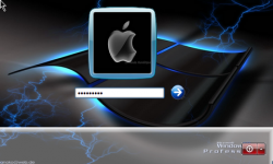 Playrad 1.65 17