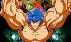 Toriko Affiche