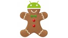 Android-Gingerbread_psp_phone_playtation