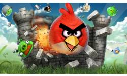 angry birds Screen 1