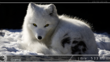 Arctic Fox - 550 - 2