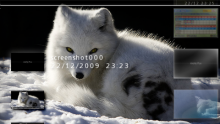Arctic Fox - 550 - 5