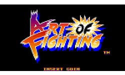 artoffightingp