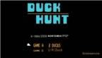 duck-hunt (2)