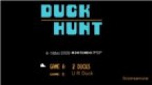 duck-hunt (2)