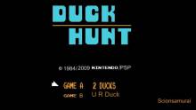 duck-hunt (4)