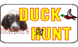 DuckHuntICON0