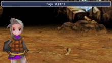 Final Fantasy III (FR) (5)