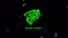 Green Tribal - 500 - 8