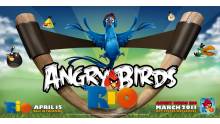 Images-Screenshots-Captures-Angry-Birds-Rio-2008x1018-04022011