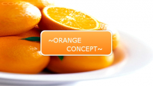 Orange Concept - 500 - 7