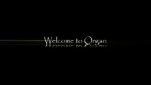 Organ Freaky Remix - 500 - 1