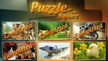 Puzzle-Square-13
