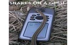 snakesgpsaa0