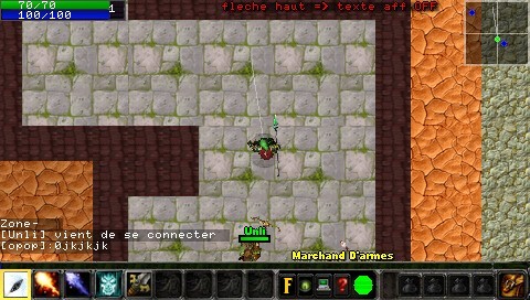 Warcraft PSP Online 008