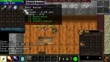 Warcraft PSP Online 013