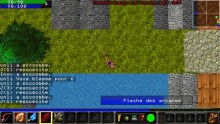 Warcraft PSP Online 022